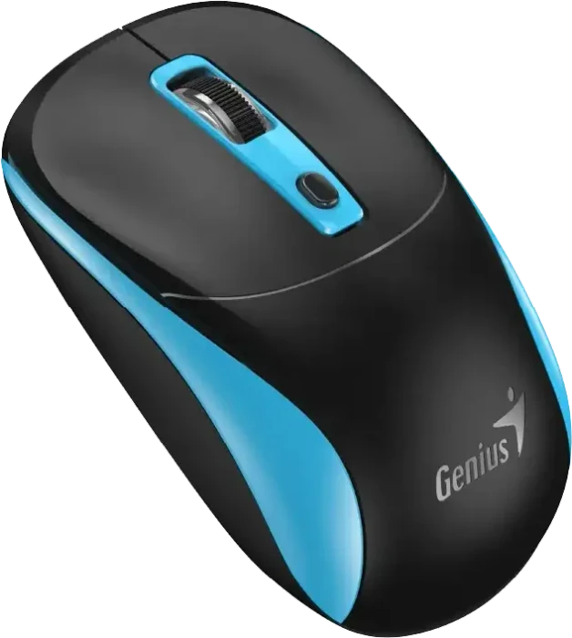 Genius NX-7123 Copilot Wireless Optical Mouse schwarz/blau, USB