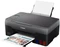 Canon PIXMA G2560, Tinte, mehrfarbig Vorschaubild