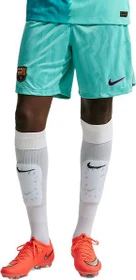 Nike FC Barcelona Stadium 2026/2027 Ausweichshorts green frost/gym red/loyal blue (Herren)