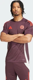 adidas FC Bayern München Tiro 24 Trainingstrikot shadow maroon/red (Herren)