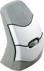 BakkerElkhuizen DXT Precision Mouse Wireless, Vertikale Maus, USB (BNEDXTW)