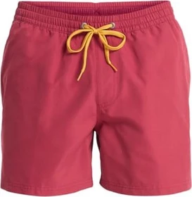 Quiksilver Everyday Solid 15" Badeshorts burnt russet (Herren)