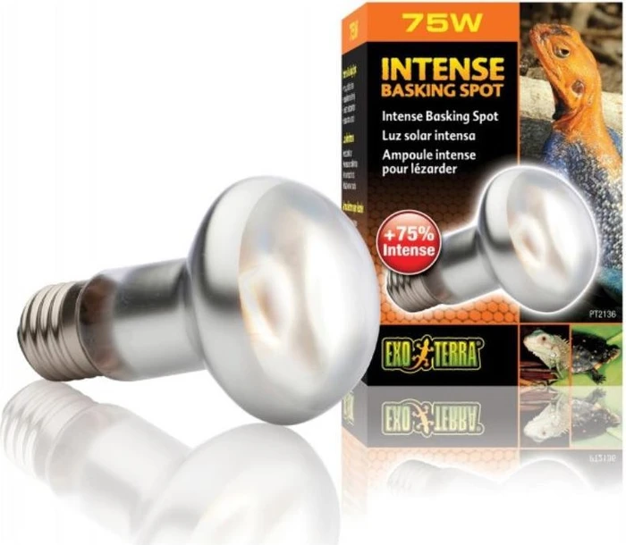 Exo Terra Reptile Intense Basking Spot, Tageslichtlampe, 75W