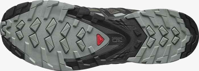 Salomon XA Pro 3D V8 grape leaf/peat/shadow (Herren)