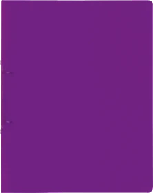 Brunnen FACT!pp Ringbuch 2-Ring, 20mm, A4, purple/transparent