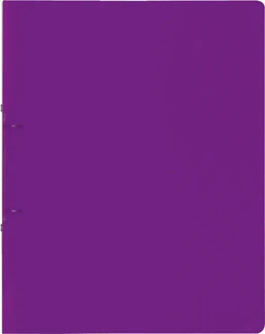 Brunnen FACT!pp Ringbuch 2-Ring, 20mm, A4, purple/transparent