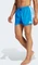 adidas 3-Streifen 3-Inch Badeshorts bright royal/white (Herren) Vorschaubild