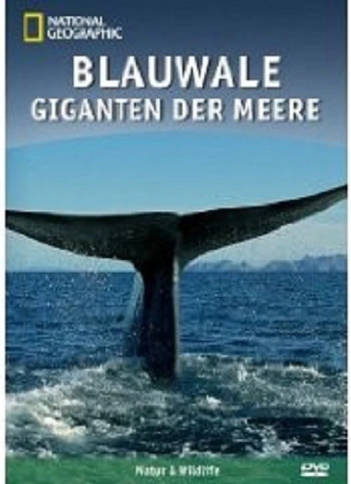 National Geographic: Blauwale - Giganten der Meere (DVD)