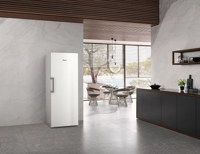 Miele FN 4778 C