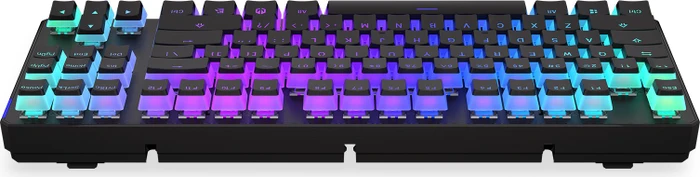 Endorfy Thock TKL Wireless Pudding, PBT, LEDs RGB, hot-swap, Kailh Box RED, USB/Bluetooth, US