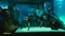 Cyberpunk 2077 - Ultimate Edition (Download) (PC) Vorschaubild