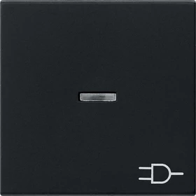 Gira System 55 Wippe mit Kontrollfenster und Symbol Steckdose, schwarz matt