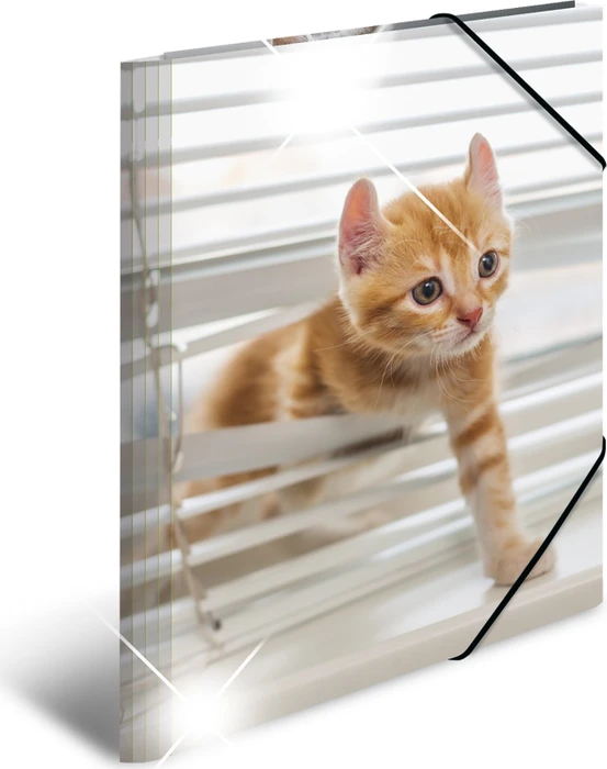 Herma Glossy Tiere Sammelmappe, A3, Katzen