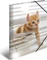 Herma Glossy Tiere Sammelmappe, A3, Katzen Vorschaubild