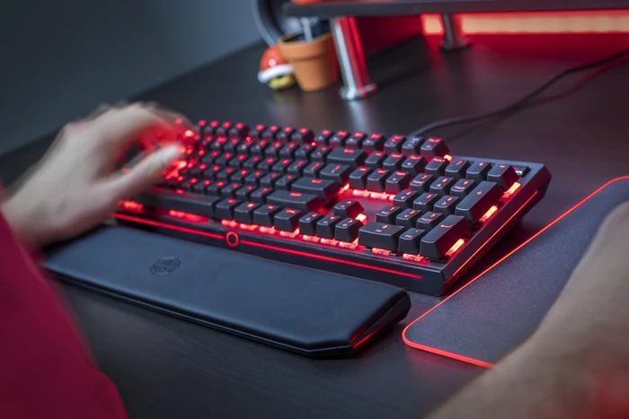 Cooler Master MasterKeys MK750, MX RGB BROWN, USB, DE
