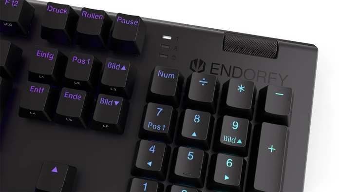 Endorfy Omnis, PBT, LEDs RGB, Kailh RED, USB, DE