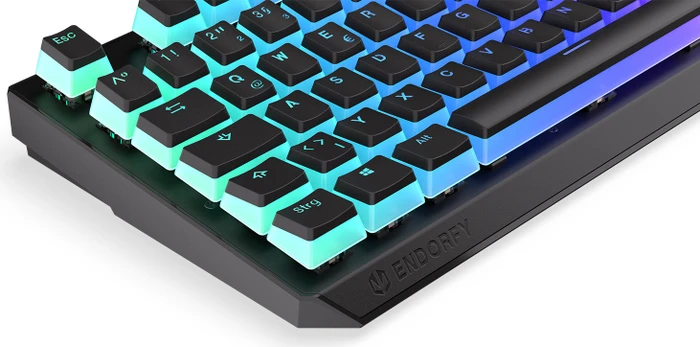 Endorfy Thock Pudding, PBT, LEDs RGB, Kailh RED, USB, DE