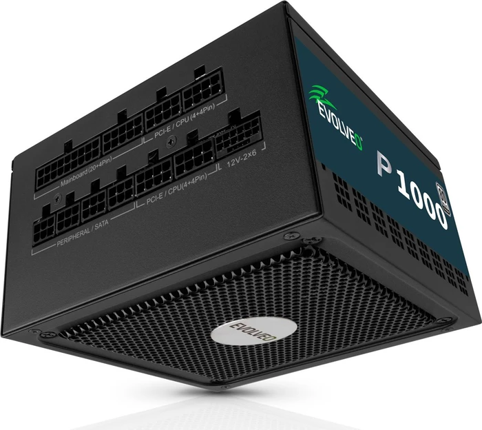 Evolveo Platinum Series P1000 schwarz 1000W, ATX 3.1