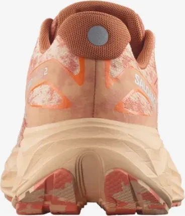 Salomon Aero Glide 2 spice route/peach quartz/fresh salmon (Damen)