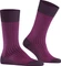 Falke Oxford Stripe Socken aubergine (Herren) Vorschaubild