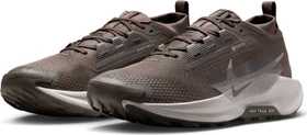 Nike Pegasus Trail 5 Gore-Tex ironstone/velvet brown/cave stone/college grey (Herren)