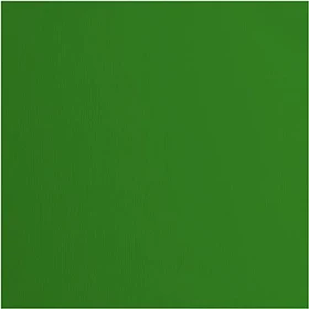 Vaessen Creative Tonkarton, 305x305mm, glatt, grasshopper, 20 Blatt