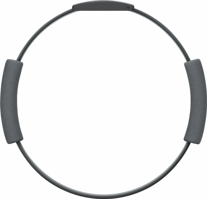 Ring Fit Adventure (Switch)