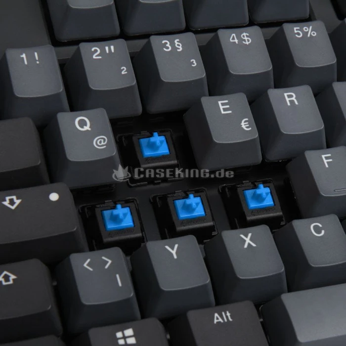 Ducky One 2 TKL Skyline PBT grau, MX BLUE, USB, DE