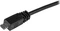 StarTech USB-A 2.0 auf USB 2.0 Micro-B Adapterkabel schwarz, 0.5m (USBAUB50CMBK) Vorschaubild
