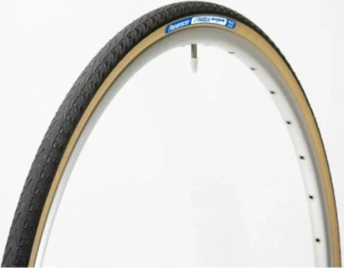 Panaracer Pasela ProTite 26x1.25" Reifen schwarz