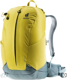 Deuter AC Lite 23 greencurry/teal
