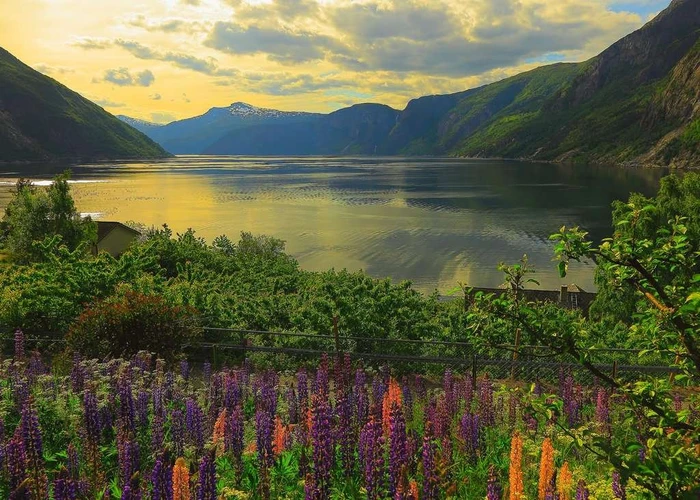 Ravensburger Puzzle Fjord in Norwegen