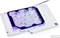 Alphacool Eisblock Aurora Active Backplate GPX-N RTX 3080 / 3090 / 3090 TI Vorschaubild