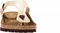 Birkenstock Gizeh Birko-Flor graceful pearl white (Damen) Vorschaubild