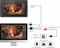 XP-Pen Artist Display 13.3 V2 Vorschaubild
