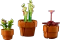 LEGO Botanicals - Mini Pflanzen Vorschaubild