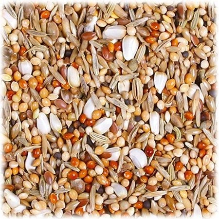 JR Farm Classic Großsittich 1kg