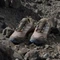 adidas Terrex Skychaser AX5 Gore-Tex wonder taupe/off white/glow blue (Damen) Vorschaubild