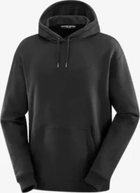 Salomon Logo Pride Hoodie deep black (Herren)