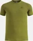 Odlo Essential Seamless 2.0 Laufshirt kurzarm guacamole melange (Herren) Vorschaubild