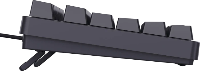 Trust Gaming GXT 864 Cada TKL, LEDs RGB, Huano BROWN, USB, US