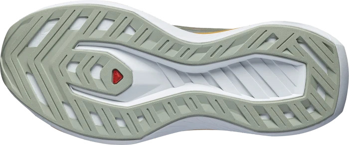 Salomon DRX Bliss desert sage/zinna/white (Herren)