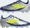 adidas F50 Elite Messi FG silver metallic/solar yellow/lucid blue (Junior) Vorschaubild