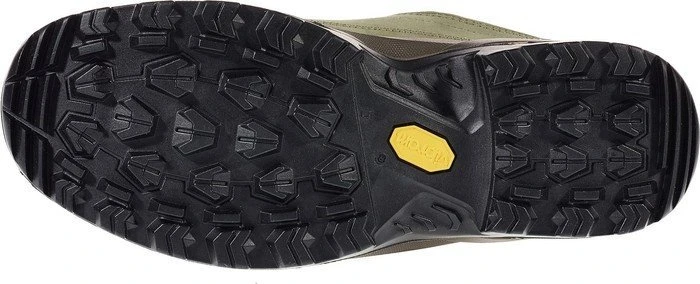 Lowa Renegade GTX Lo schilf (Damen)