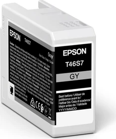 Epson Tinte T46S7 UltraChrome Pro 10 grau