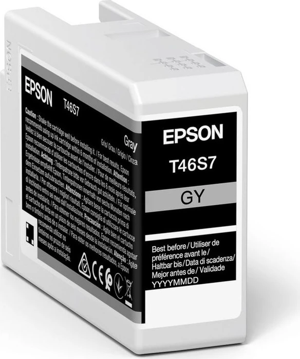 Epson Tinte T46S7 UltraChrome Pro 10 grau