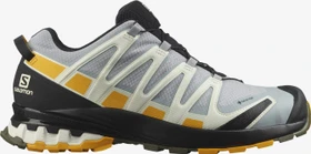 Salomon XA Pro 3D V8 GTX quarry/saffron/olive night (Herren)