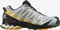 Salomon XA Pro 3D V8 GTX quarry/saffron/olive night (Herren) Vorschaubild