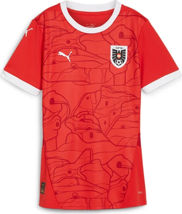 Puma UEFA EURO 2024 Österreich Trikot