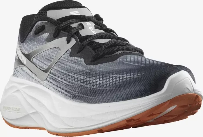 Salomon Aero Glide black/alloy/coral gold (Herren)